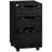 Hilliary 15.75'' Wide 3 -Drawer Mobile File Cabinet-325456374