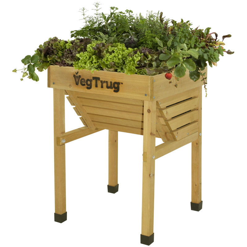 Kids VegTrug - Natural (FSC 100%)