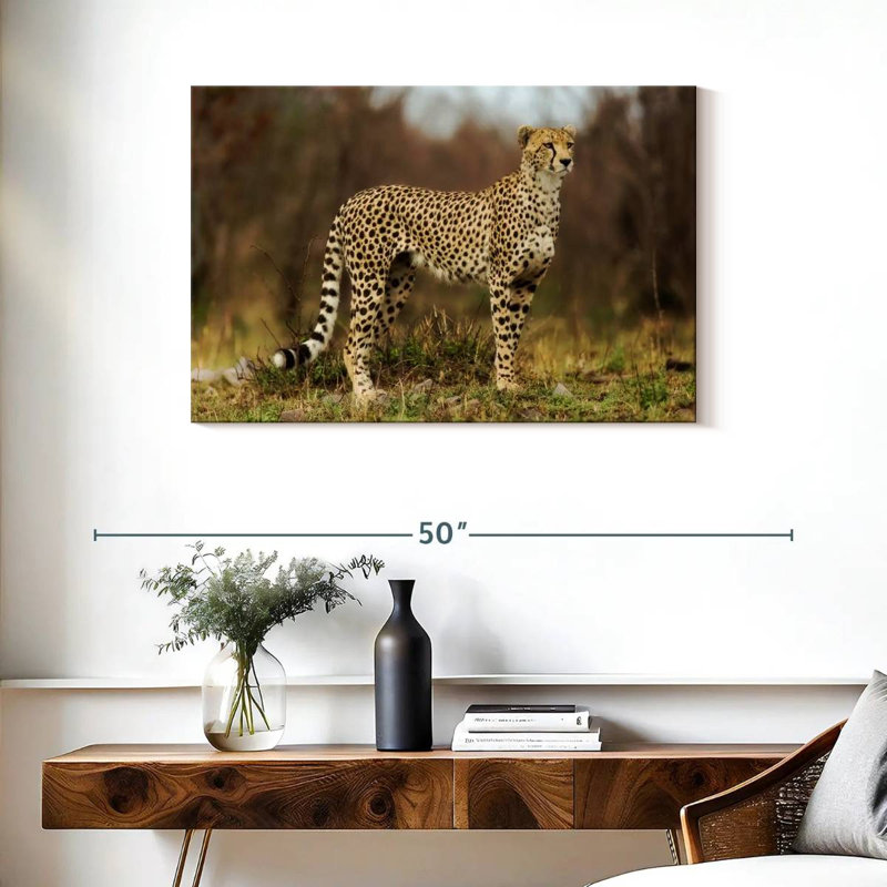 Guépard regardant sa proie, H 24 po x l 36 po