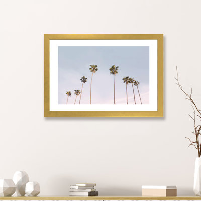 Photographie « california trees »