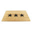 Non-Slip Indoor Doormat