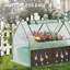 Mini serre l 4 pi-120640977-55850503