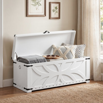 Coffret de rangement de 120 cm de large avec couvercle relevable, panneau avant décoratif et détails métalliques.