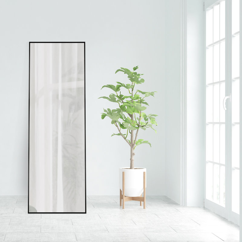 Lekha Metal Rectangle Floor Mirror, Black