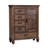 Ranbir 5-drawer Door Chest Burnished Oak-556702771