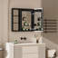 Armoire murale à miroir encastrée ou à fixation murale en surface 30 po Jasamine-1902349300-1902349303
