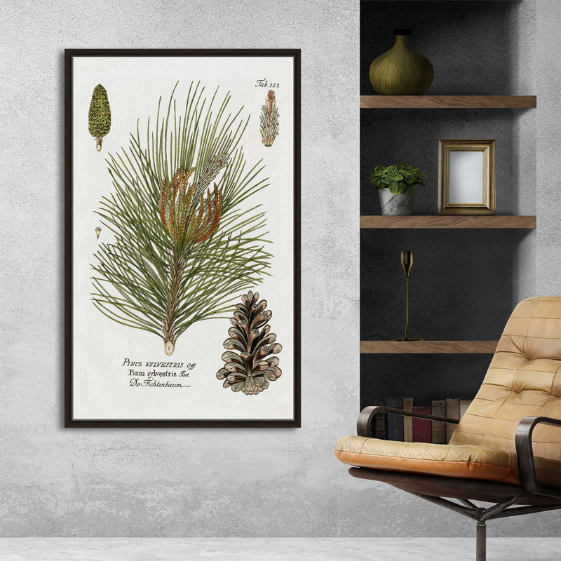 Épinette botanique par Kelly Donovan - Peinture, L 27,5 po x H 43,5 po, Encadrement brun