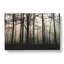 Sunlight Forest Vol.5 - Wrapped Canvas