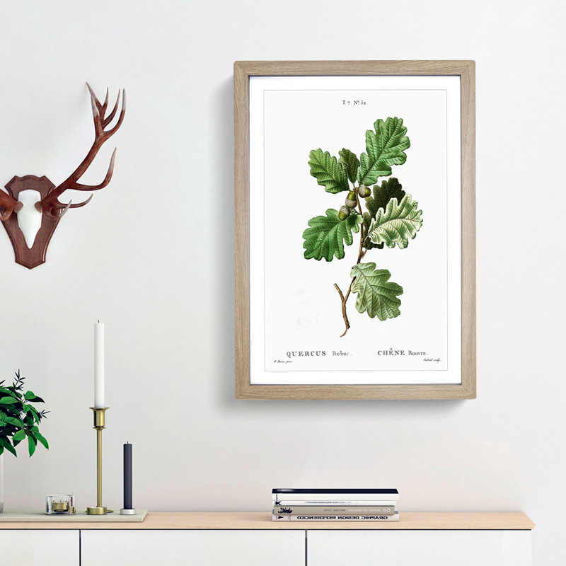 Oak Tree by Pierre-Joseph Redoute - Picture Frame Painting Print on MDF, Oak Framed, 65cm H x 48cm W x 2cm D