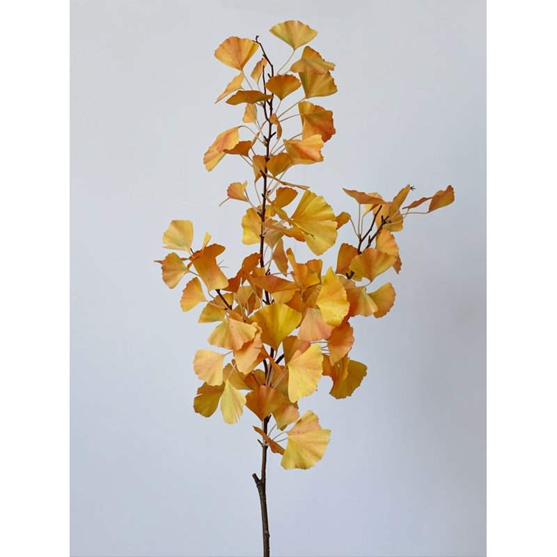 Golden Gingko Branch - 47,2 po, [D] 12 tiges, Doré