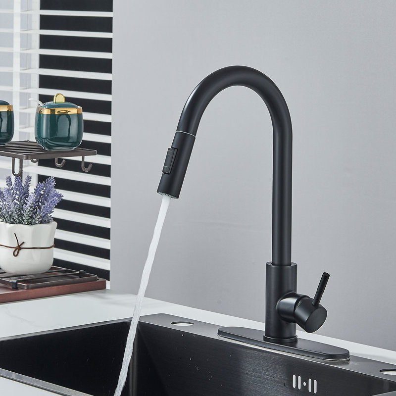 AlenArtWater Pull Down Kitchen Faucet