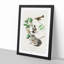American Redstart Birds by John Audubon - 1 Piece Single Picture Frame Painting-55544775-55544779