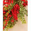 Faux 76cm Wreath