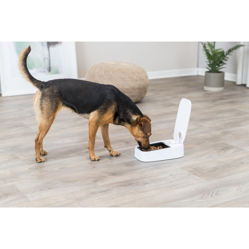 TRIXIE TX1 Automatic Food Dispenser, Single Serving, 48-Hour Timer, Battery Operated