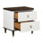 Dzianis 2-Drawer Nightstand in White and Walnut