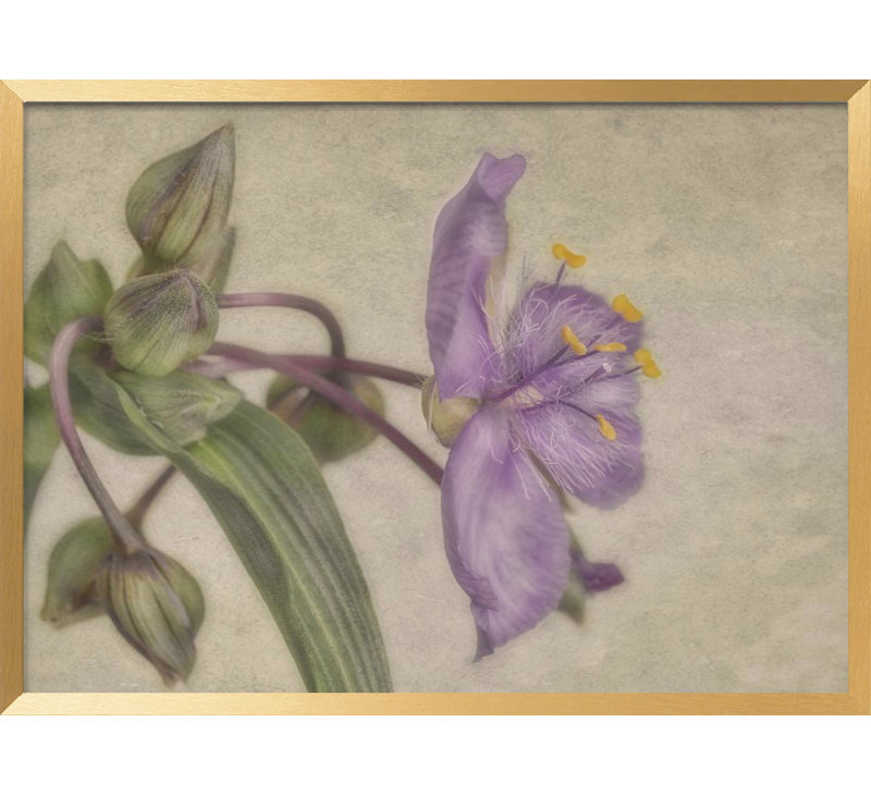 "Mauve fleur", art mural texturé encadré, H 10 po x l 14 po, Or
