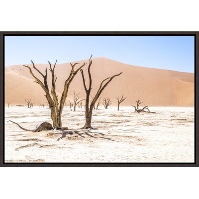 Richard Silver " Namibian Skeleton Trees VIII " by Richard Silver