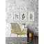 Trio de plantes-62885978