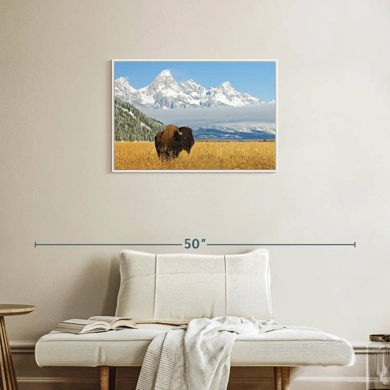 Grand Teton Bison Bull, Cadre flottant blanc, 31 po x 21 po