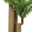 100cm Faux Persian Grass Tree in Freestanding