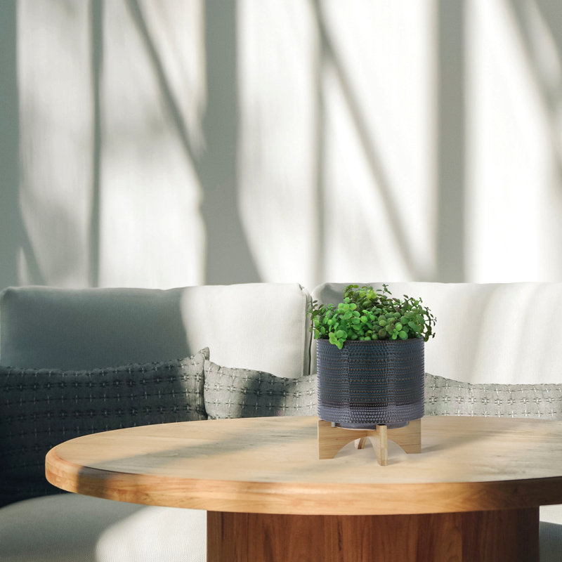 Petit pot de fleurs avec jardinière