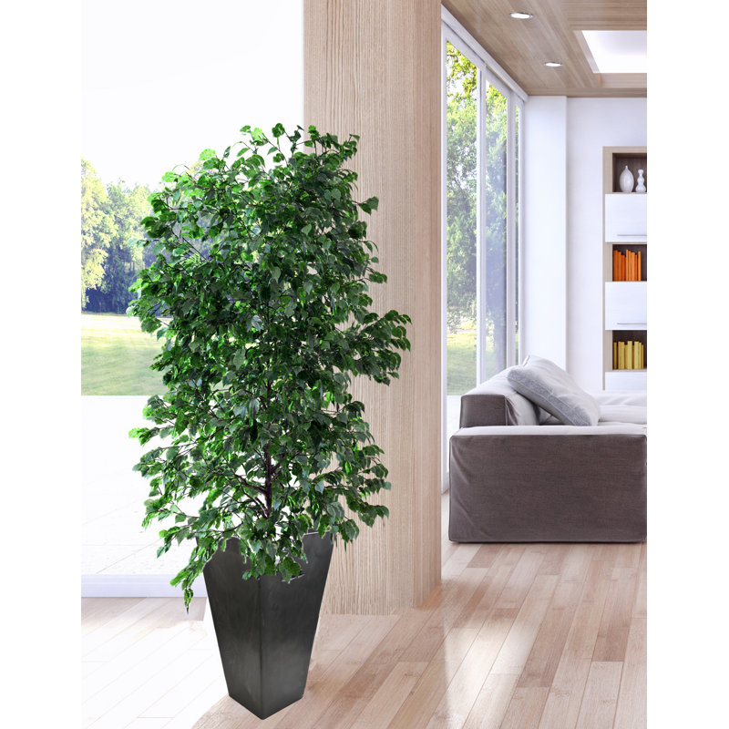 Boîte à fleurs en plastique, Noir, H 24 po x l 14 po x P 14 po