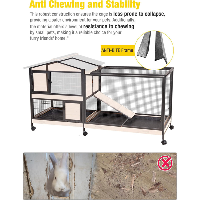 Shelbie Weather Resistant Portable Rabbit Hutch with Ramp