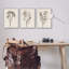 «Stupell Industries Beige Cottage Cottage», ensemble de 3 toiles murales par Ros Ruseva-91323382-91323384