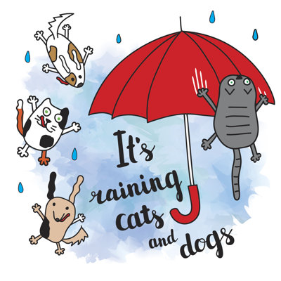 "It's Raining Cats And Dogs" by OlenaKlymenok - Wrapped Canvas Print