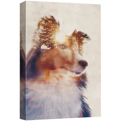 Animals " Border Collie Dog & Trees "