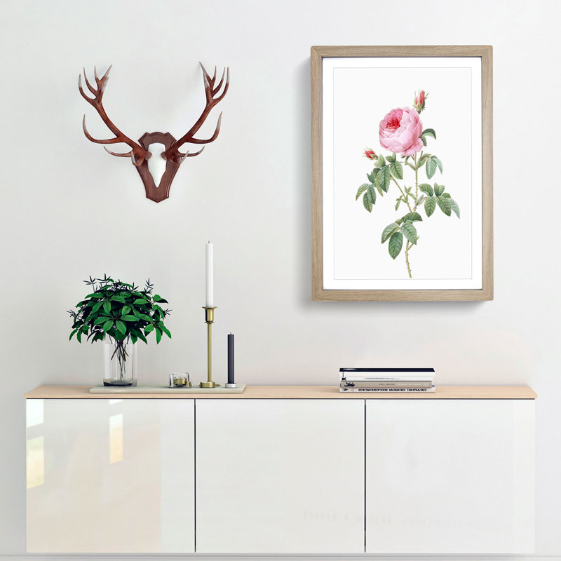 The Pink Cabbage Rose by Pierre-Joseph Redoute - Picture Frame Painting Print, Oak Framed, 65cm H x 48cm W x 2cm D