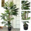 Palmier tropical en pot 60 "