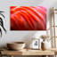 Plumes de flamant rose vif Brampt-108974787