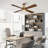 Camran 52'' Ceiling Fan with LED Lights