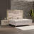 Jaylianis King 3PC Beige-306906249-306906250