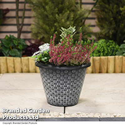 Brooke Plant Pot (x5)