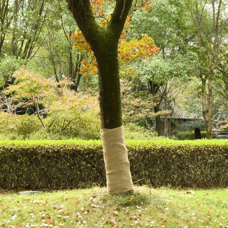 Plant Stand