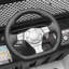 Tour électrique en voiture-56127832