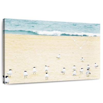 Relaxed Seagulls