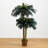 Double Potted Sago Palm Silk Tree