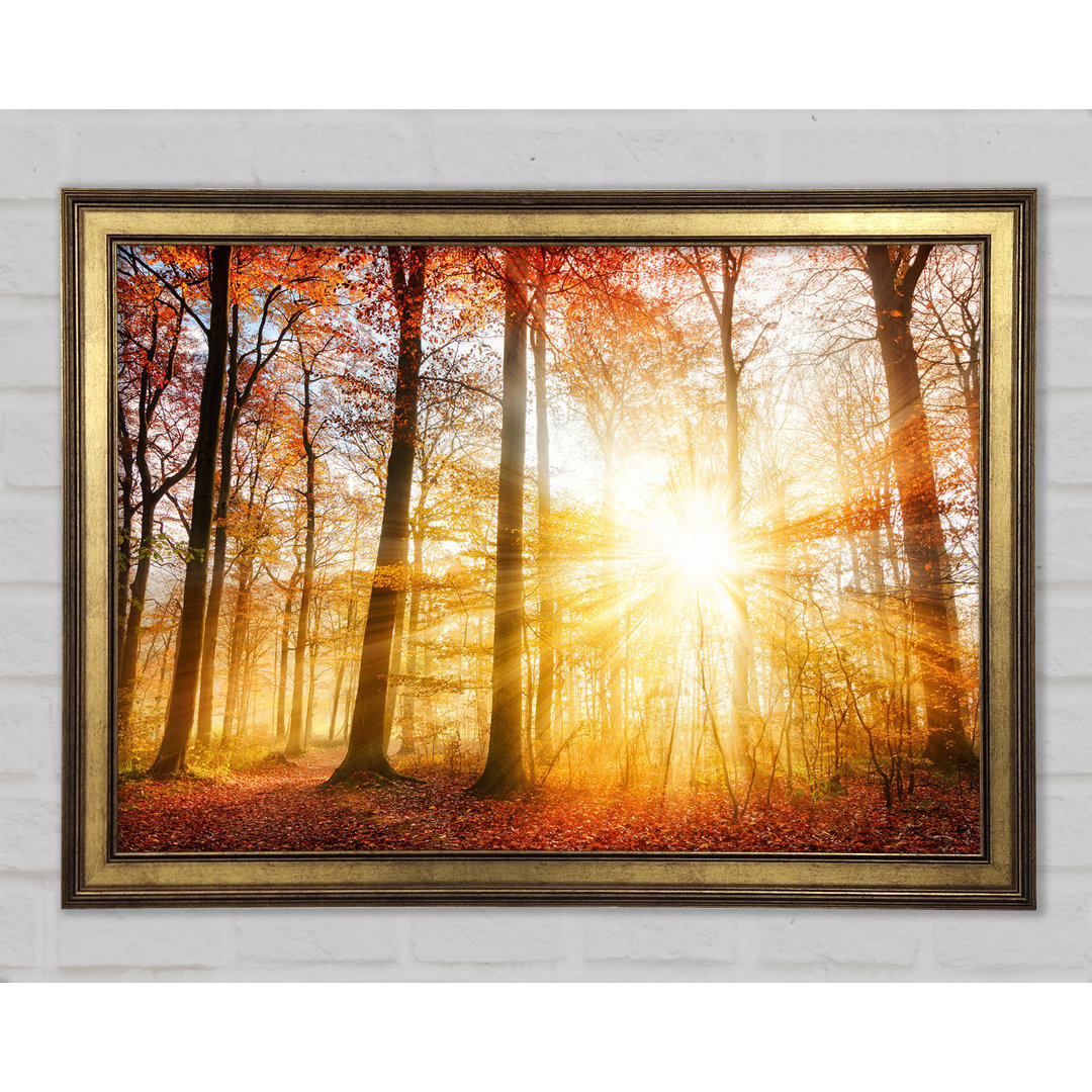 Great British Autumn Woodland - Einzelne Bilderrahmen Kunstdrucke