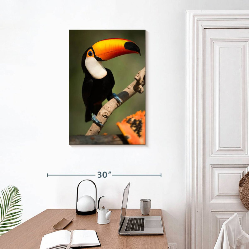 Brampt Adorable Toucan, 30" H x 20" W