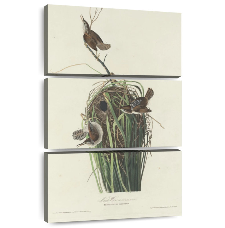 Keiri Marsh Wren, 38" H x 24" W