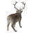 Reindeer Standing