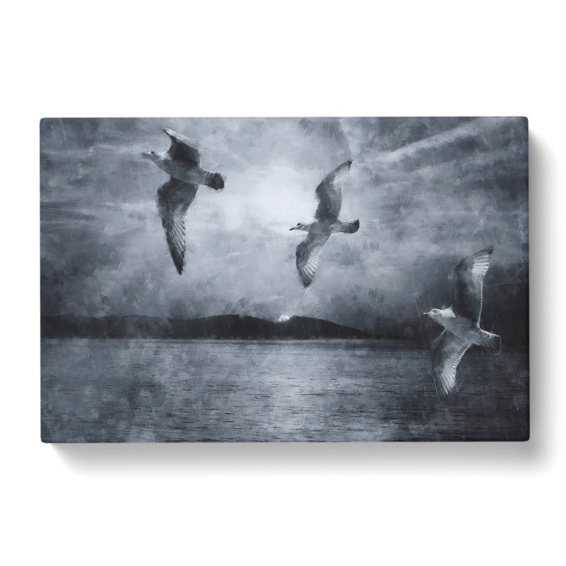 Three Seagulls - Wrapped Canvas, 50cm H x 76cm W x 3cm D