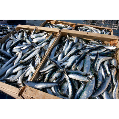 " Sardines In Crates "