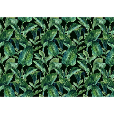 Papier peint tropical à motif de feuilles de bananier tropical