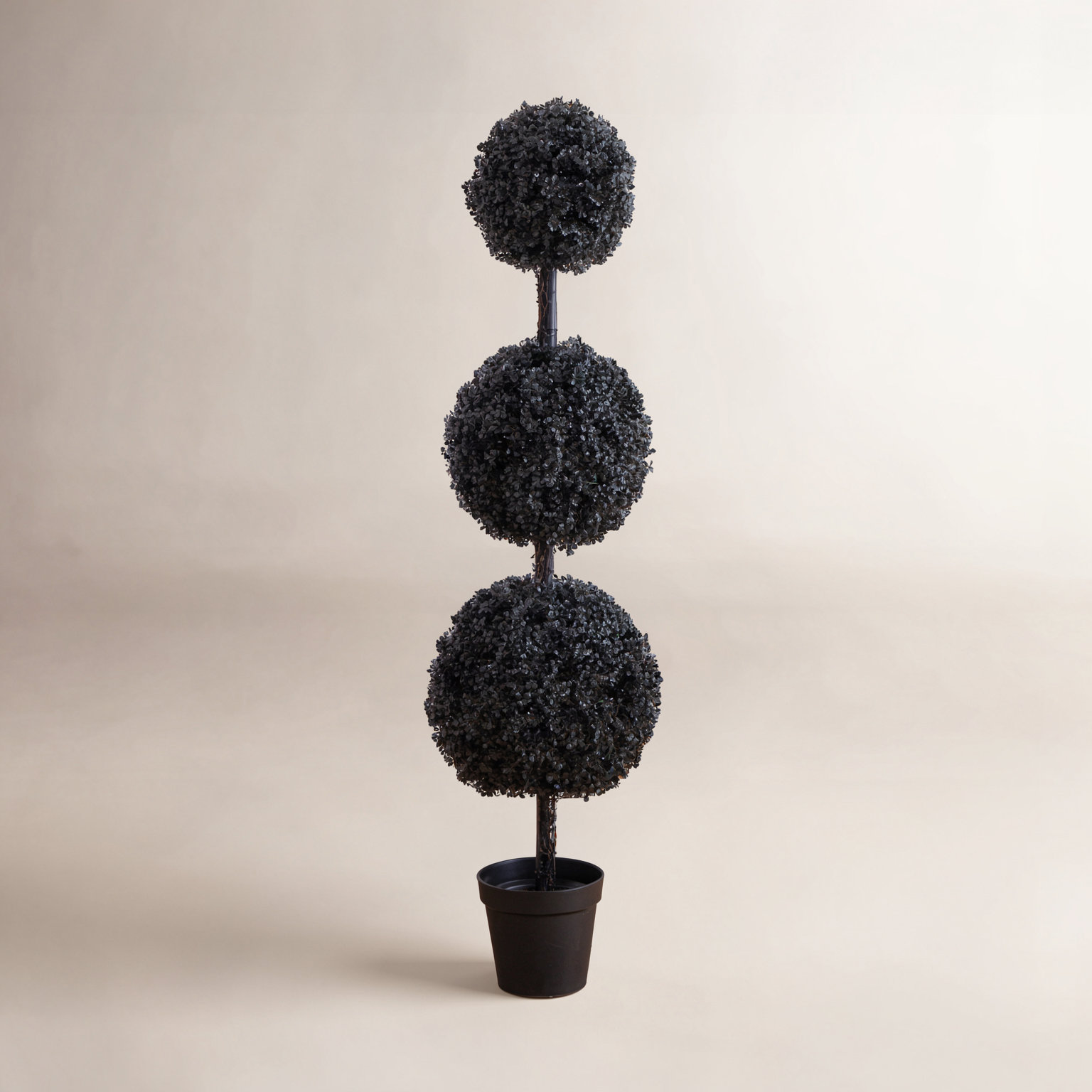 96" Boxwood Topiary in Nursery Pot, 60" H x 14" W x 14" D, Black