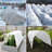 10x50Ft Plant Freeze Protection Cover
