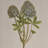 Botanical Illustration Wall Art Set
